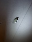 新商品紹介!!埋め込み式のダウンライト くり貫いた部分は見えなくなるので仕上がりは適当でOK