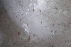 エリシオンのハイマウントブレーキランプ修理 水が入り始めると腐食するのは一瞬です。
